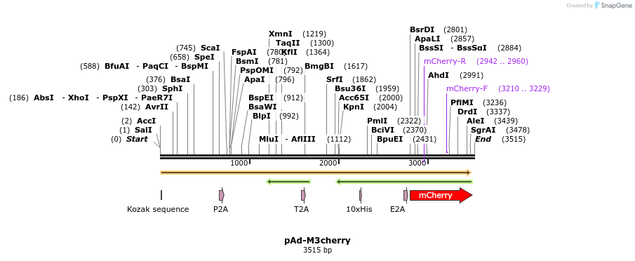 98925_map
