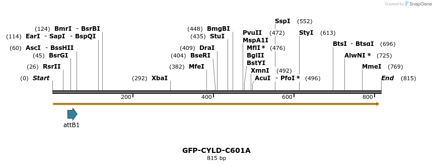 98929_map