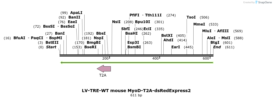 98934_map