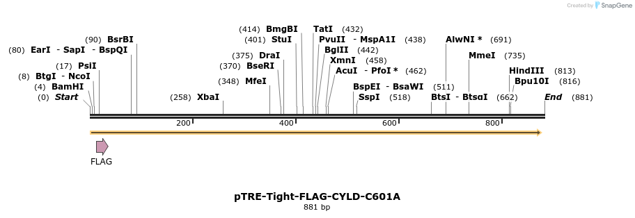 98938_map