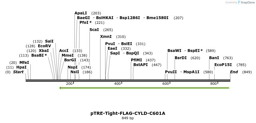 98939_map