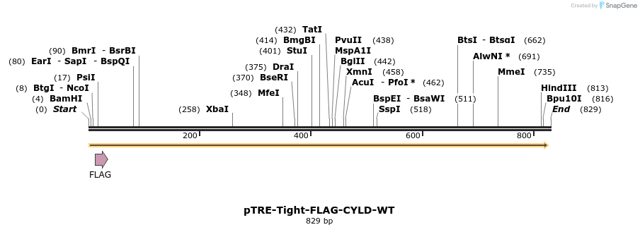 98940_map