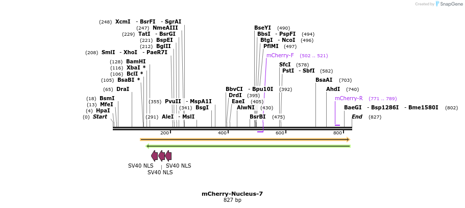 98941_map