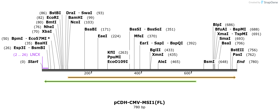 98942_map