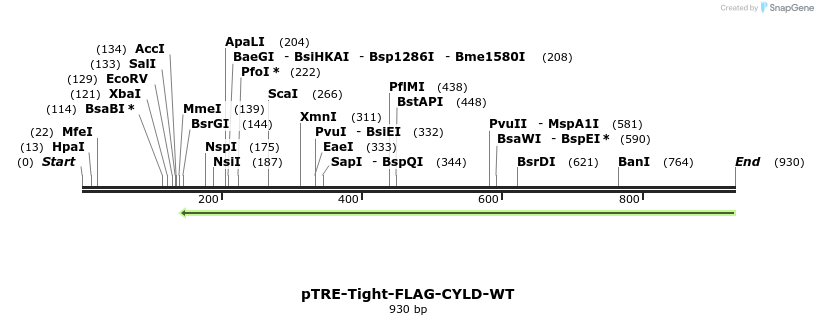 98943_map