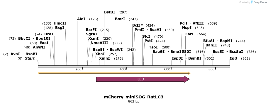 98947_map