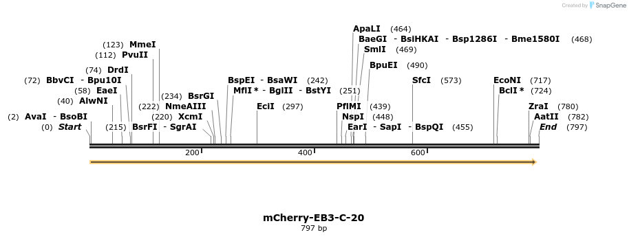 98948_map