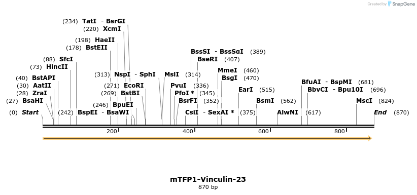 98953_map