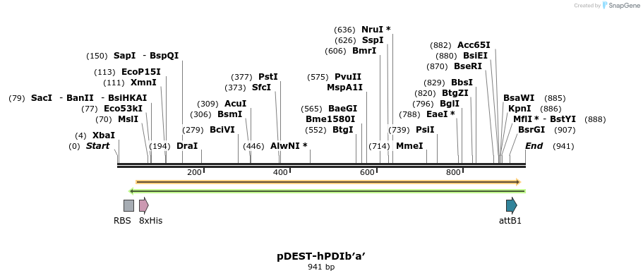 98956_map