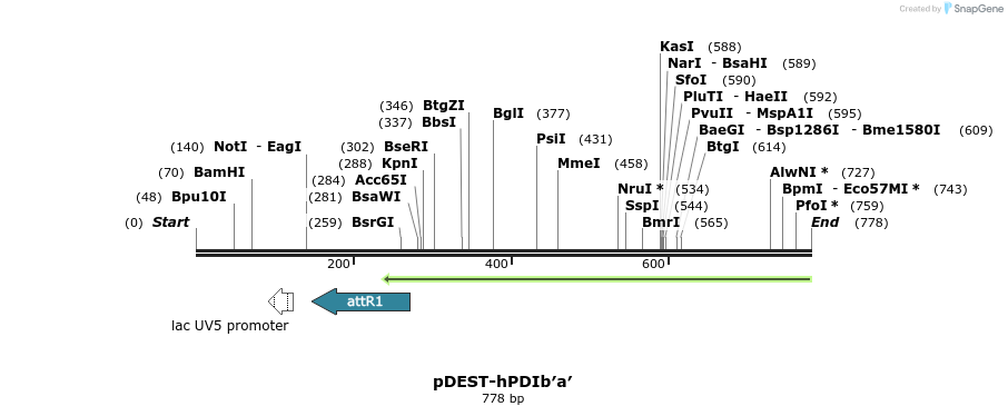 98957_map
