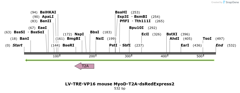 98962_map
