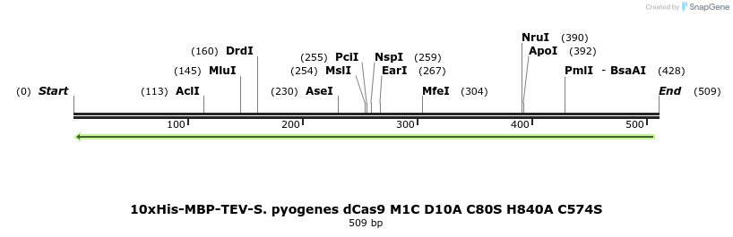 98966_map