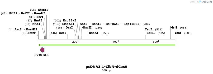 98974_map
