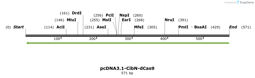 98977_map
