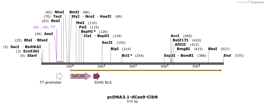98978_map