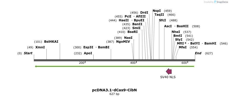 98980_map