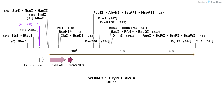 98982_map