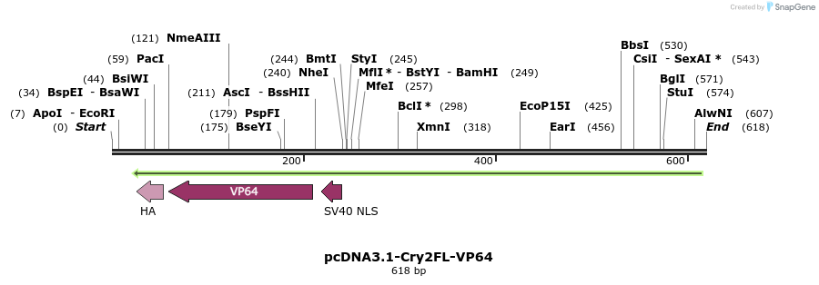 98983_map