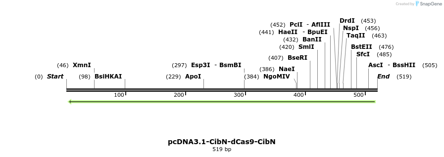 98986_map
