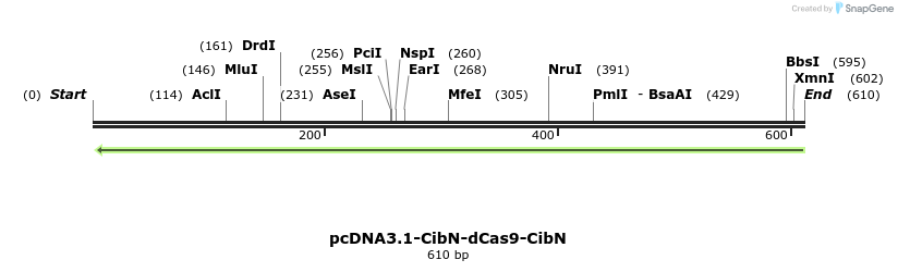 98988_map