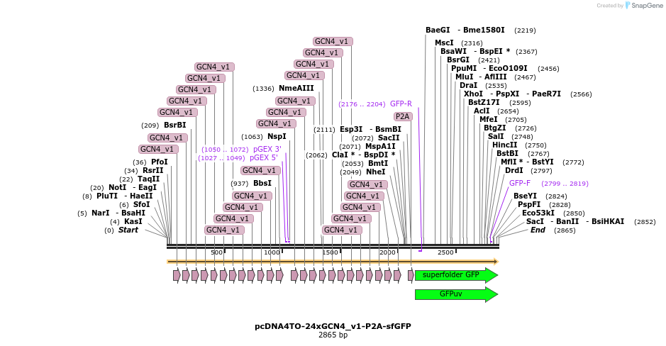 98991_map