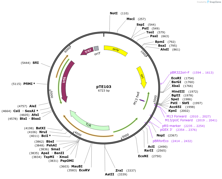 98998_map