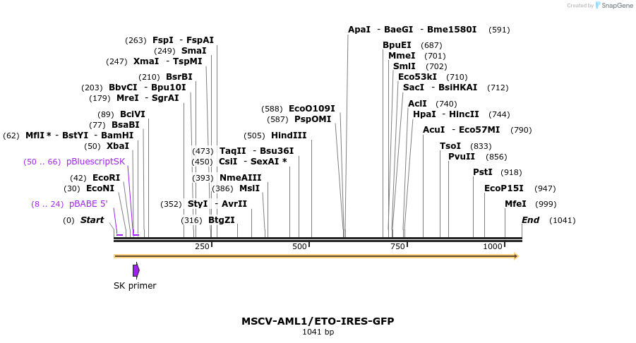 99008_map