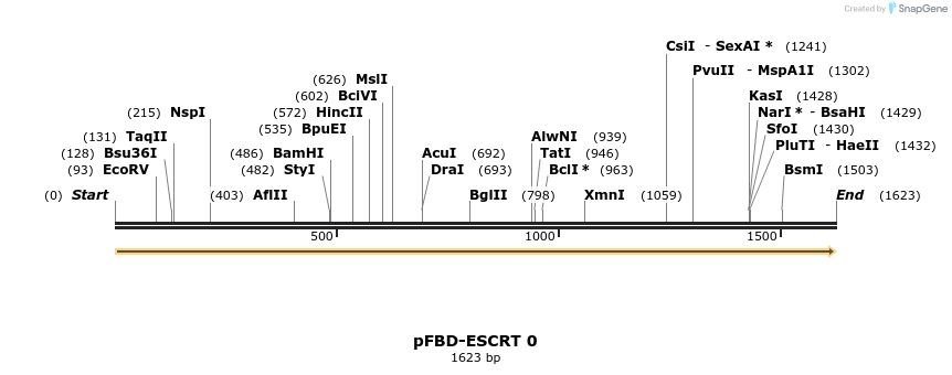 9902_map