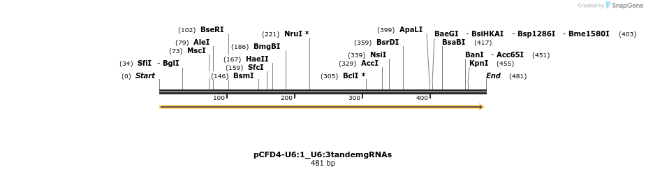 99028_map