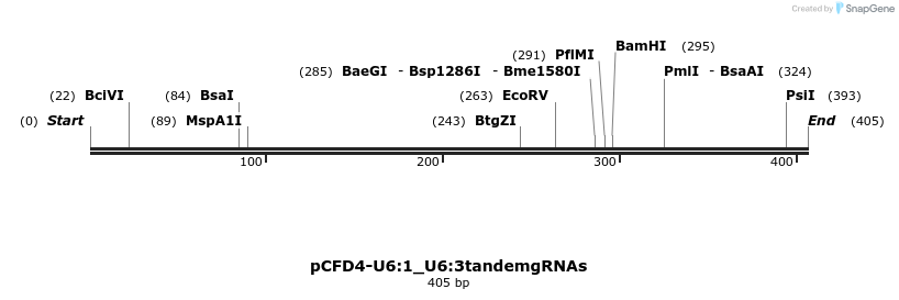 99032_map