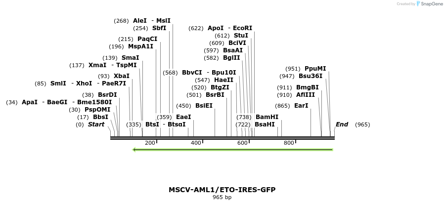 99034_map