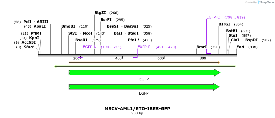 99035_map