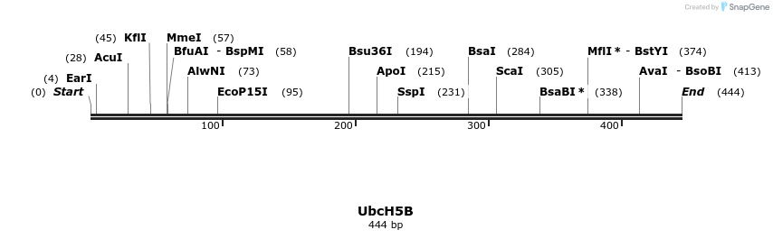 99051_map