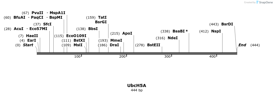 99053_map