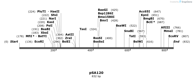 99056_map