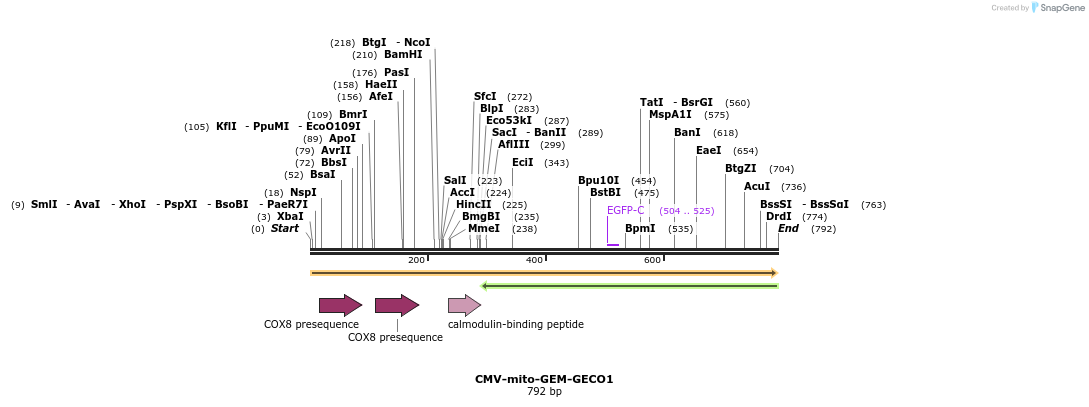 99061_map