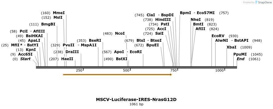99062_map