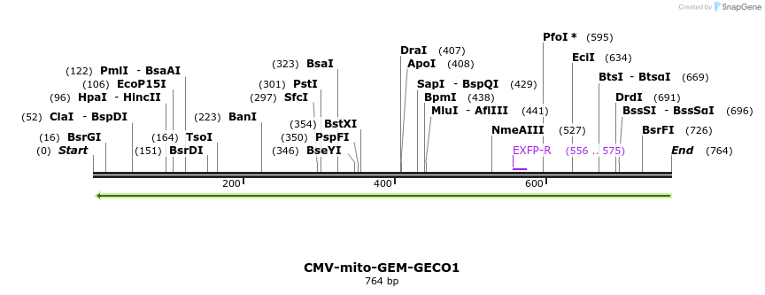 99063_map
