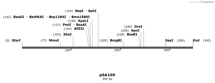 99065_map