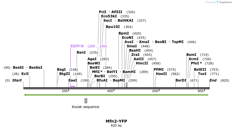 99066_map