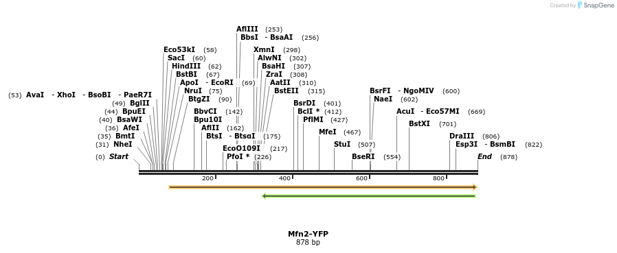 99067_map