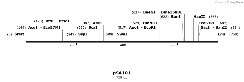 99068_map