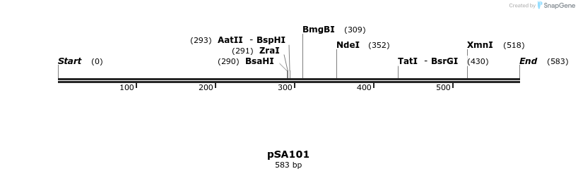 99069_map