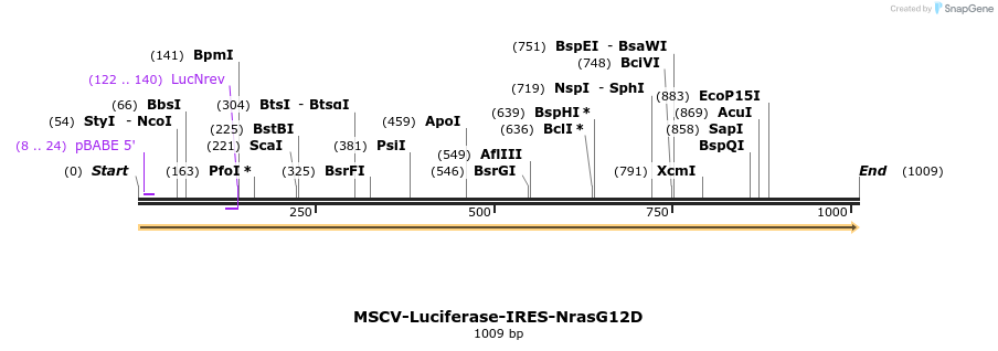 99071_map