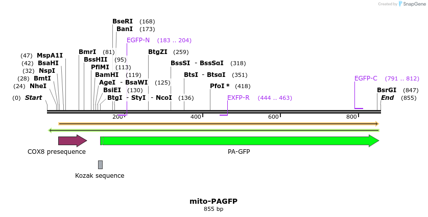 99073_map