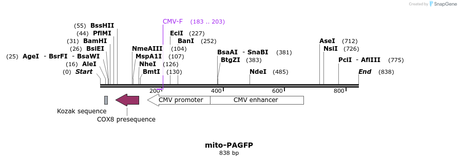 99076_map