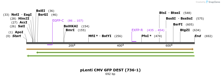 99077_map