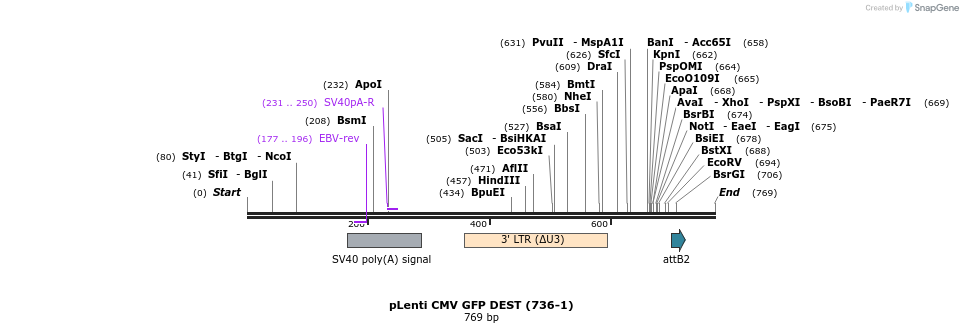 99079_map