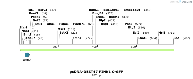99080_map
