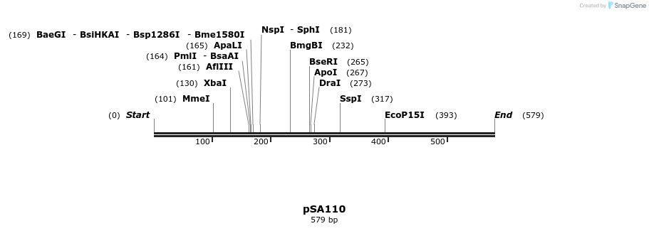 99082_map